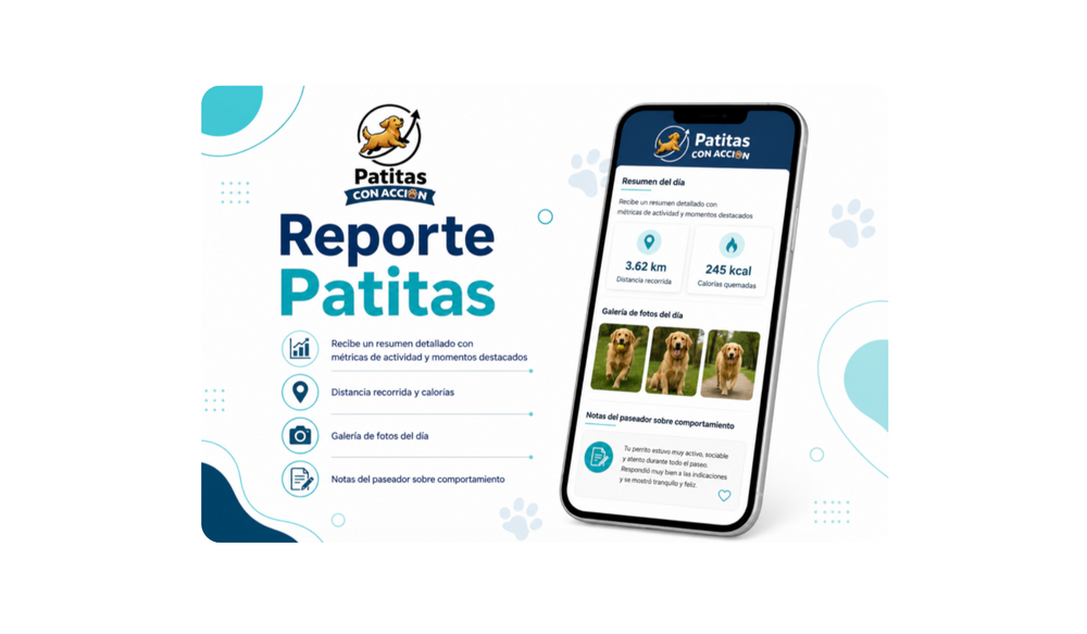 Paso 4: Reporte completo