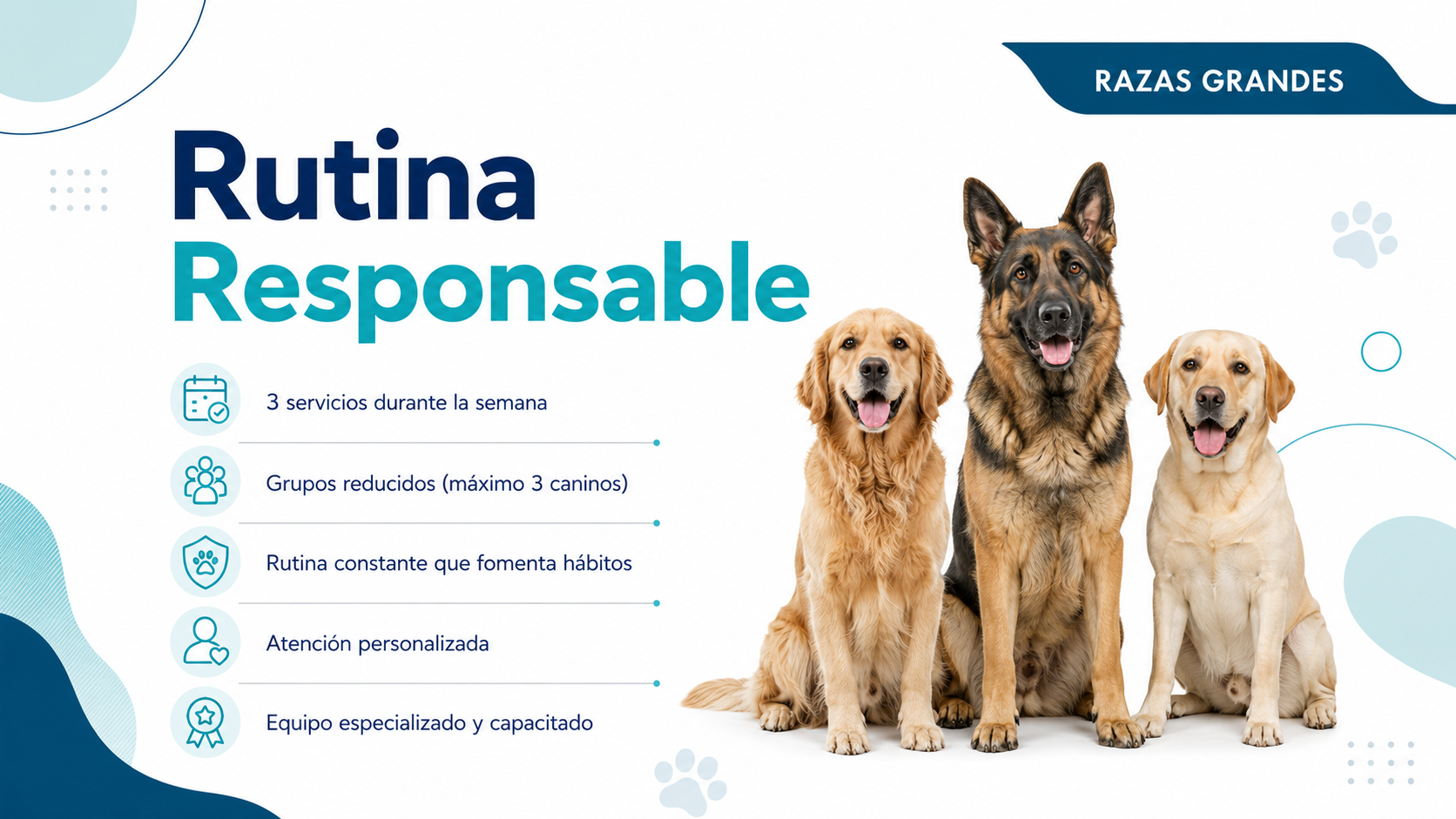 Rutina Responsable- Razas Grandes