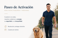 Paseo de activación- Razas pequeñas y medianas