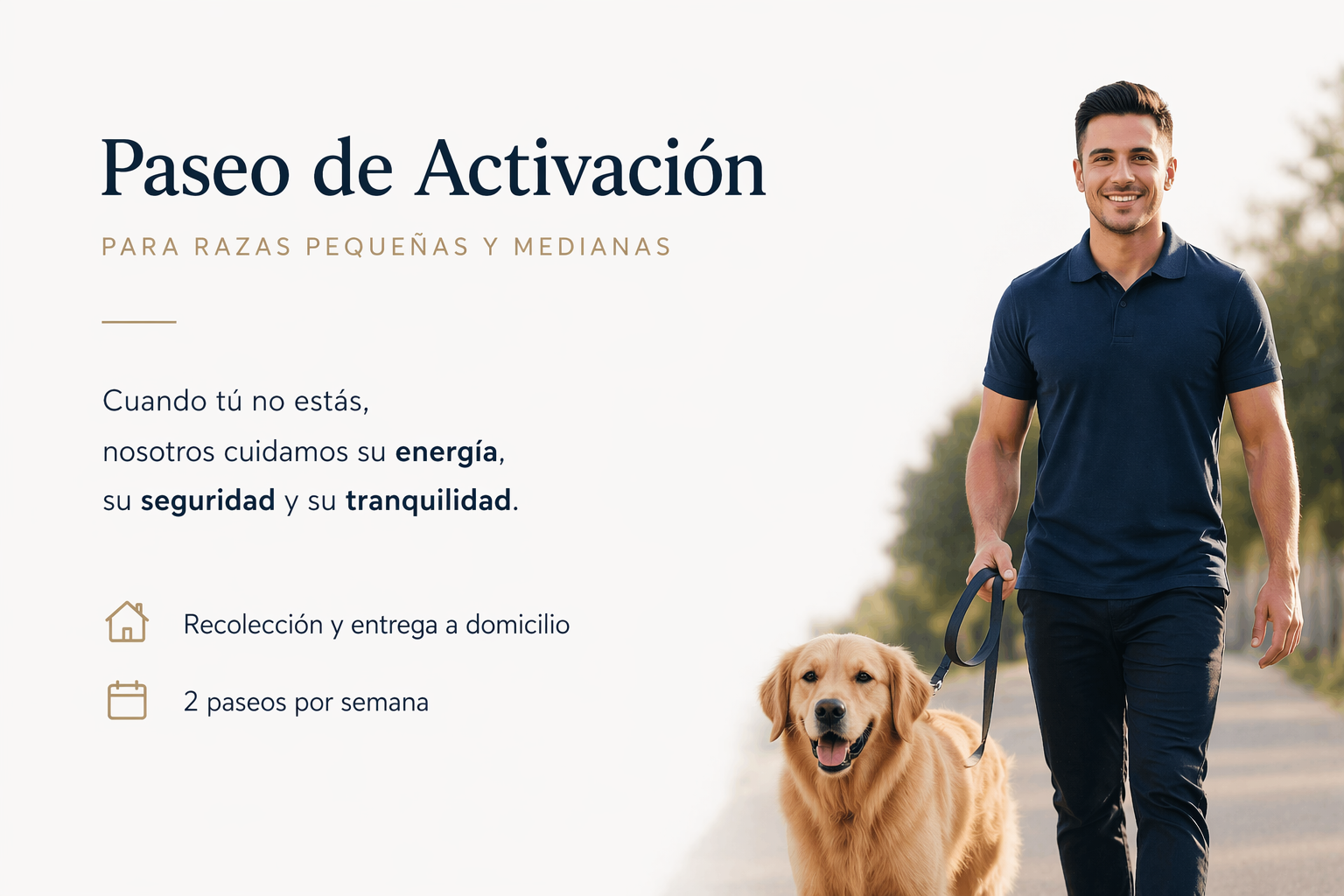 Paseo de activación- Razas pequeñas y medianas