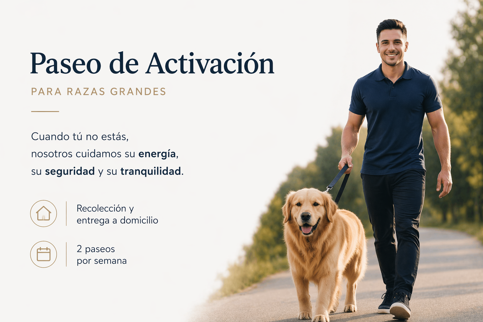 Paseo de activación- Razas grandes