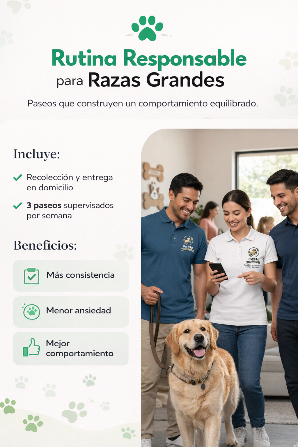 Rutina Responsable- Razas Grandes
