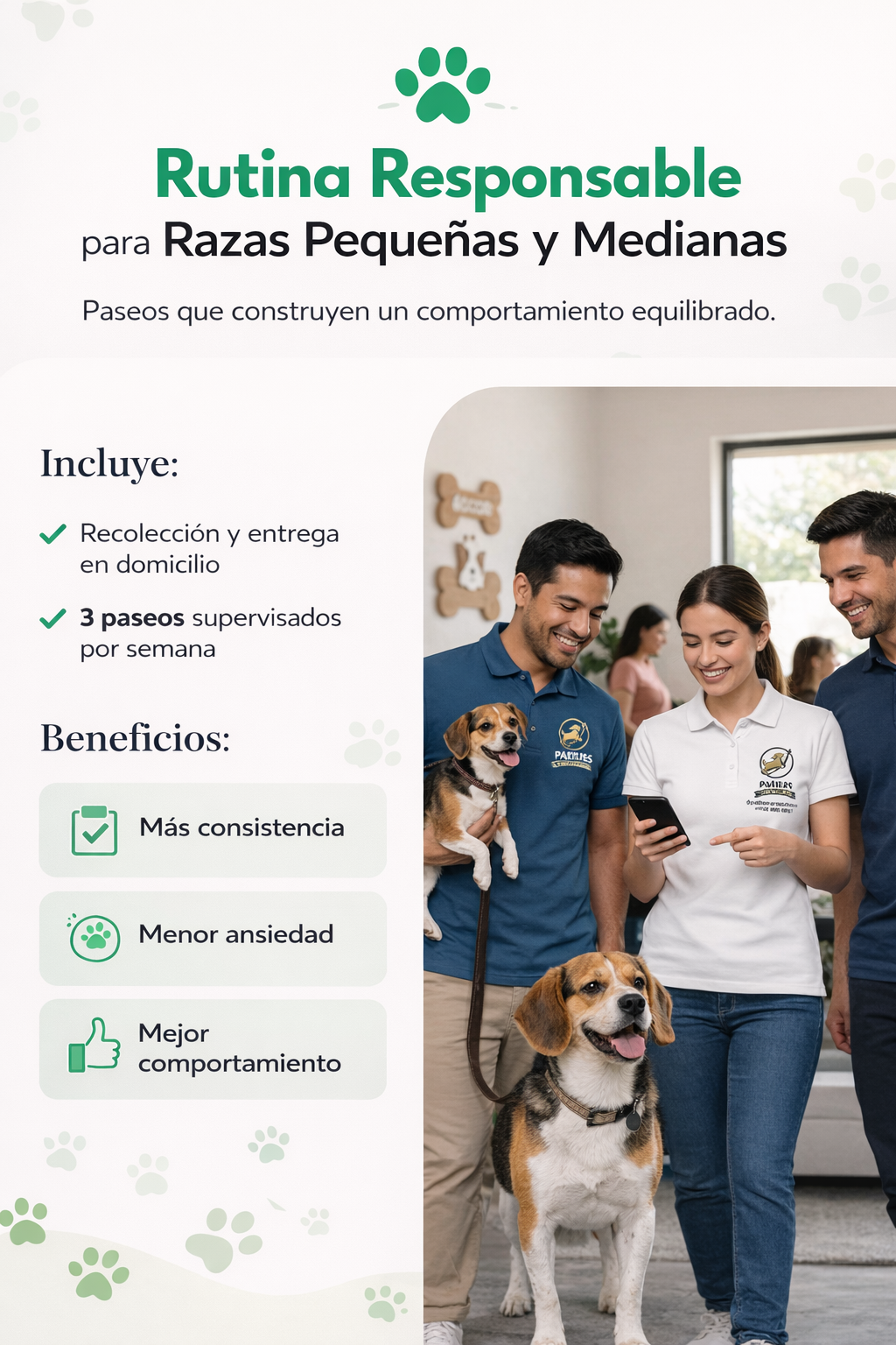 Rutina Responsable - Razas Pequeñas y  Medianas