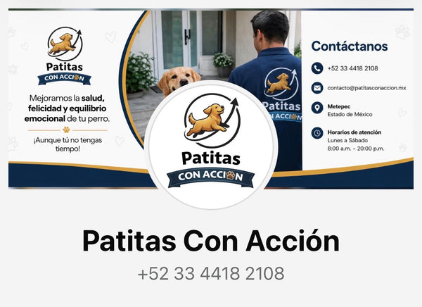 Solicitud del registro