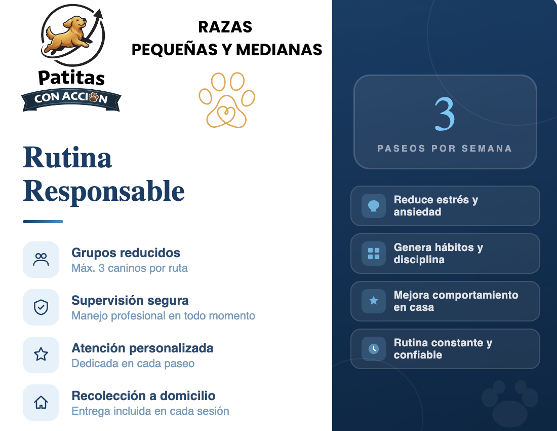 Rutina Responsable - Razas Pequeñas y  Medianas