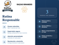 Rutina Responsable- Razas Grandes