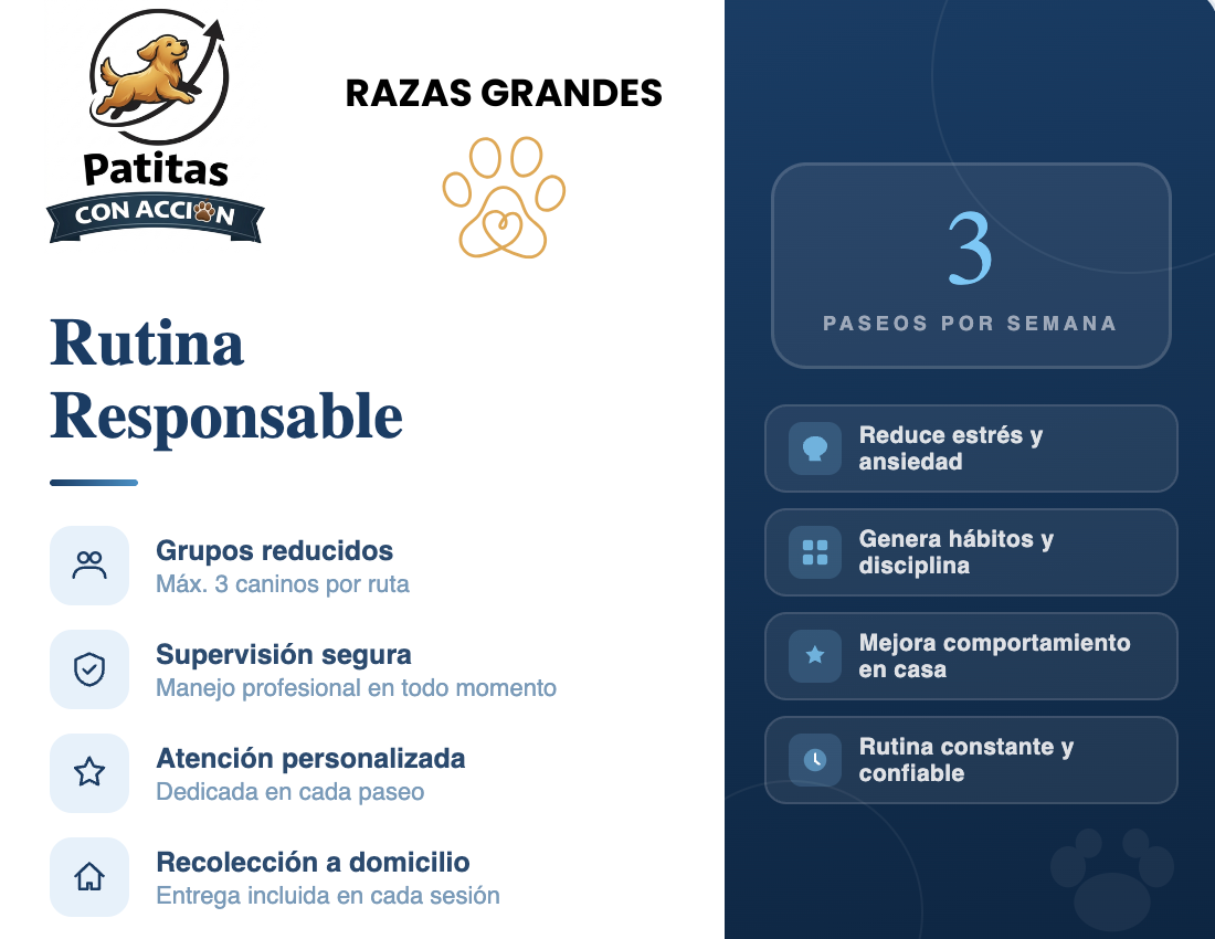 Rutina Responsable- Razas Grandes